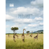 Paradise Inc.