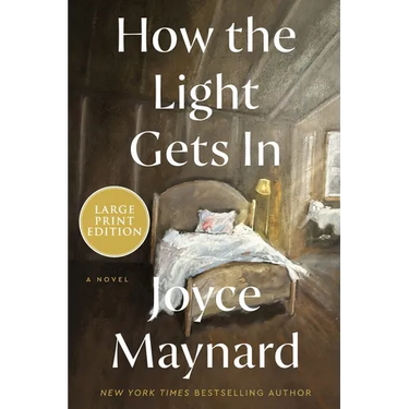 How the Light Gets in