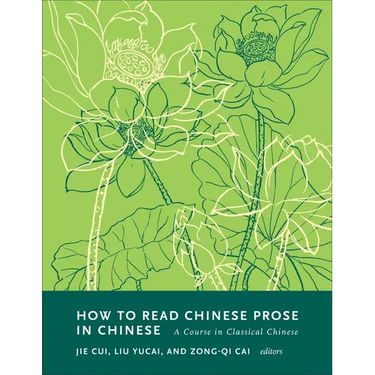 How to Read Chinese Prose in Chinese: A Course in Classical Chinese