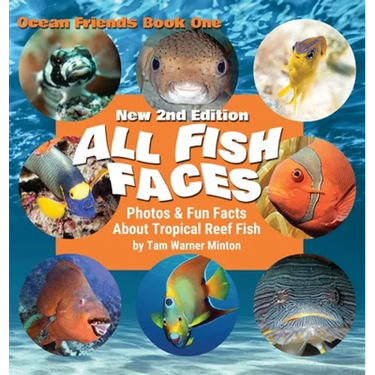 All Fish Faces: Photos and Fun Facts about Tropical Reef Fish