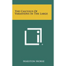 The Calculus Of Variations In The Large