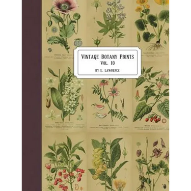 Vintage Botany Prints: Vol. 10