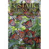 Ecstatic Belonging: A Year on the Medicine Path