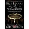 Brie Learns the Art of Submission: 2nd Edition: Submissive Training Center