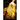 Girl on the Golden Coin: A Novel of Frances Stuart