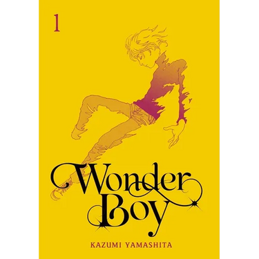 Wonder Boy, Vol. 1