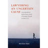 Lawyering an Uncertain Cause: Immigration Advocacy and Chinese Youth in the US