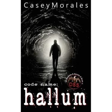 Hallum: An m/m romance spy thriller