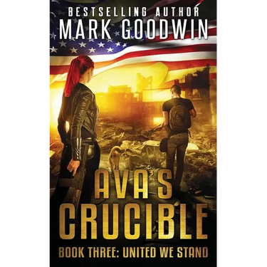 United We Stand: A Post-Apocalyptic Novel of the Coming Civil War in America