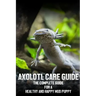 Axolotl care guide: The complete guide for a healthy and happy mud puppy