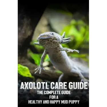 Axolotl care guide: The complete guide for a healthy and happy mud puppy