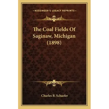 The Coal Fields Of Saginaw, Michigan (1898)