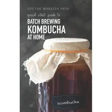 A Quick Start Guide to Batch Brewing Kombucha at Home
