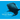 Wandering Whale Sharks