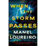When the Storm Passes: A Thriller