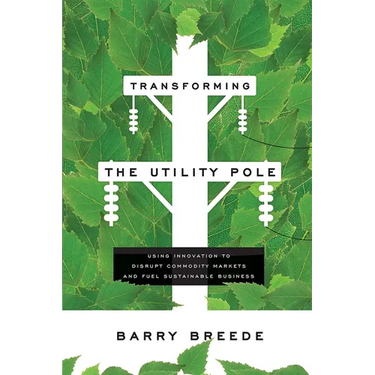 Transforming the Utility Pole: Using Innovation to Disrupt Commodity Markets and Fuel Sustainable Business