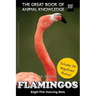 Flamingos: The Bright Pink Dancing Birds