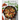 The Well Plated Cookbook: Fast, Healthy Recipes You'll Want to Eat