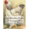The Brahma Fowl