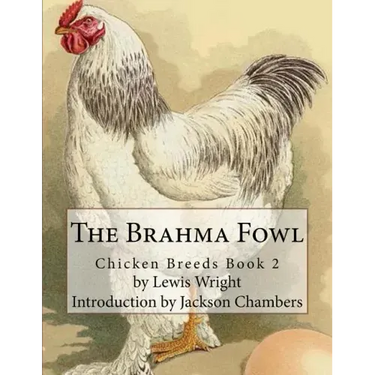 The Brahma Fowl
