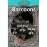 Raccoons