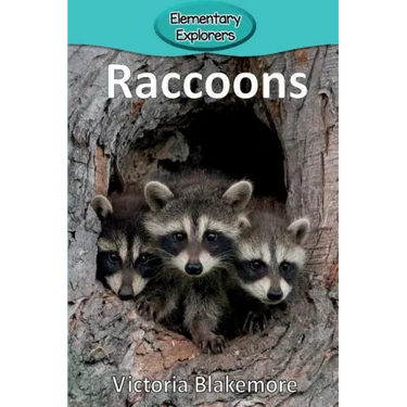 Raccoons