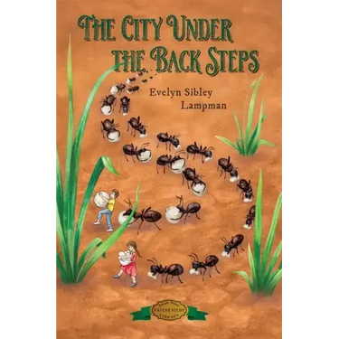 The City Under the Back Steps