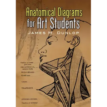 Anatomical Diagrams for Art Students
