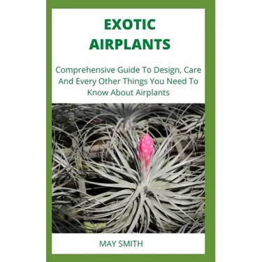 Exotic Airplants: Comprehensive Guide To Design, Care And Every Other Things You Need To Know About Airplants
