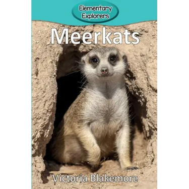 Meerkats