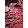 Ancient Maya Economies