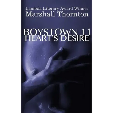Boystown 11: Heart's Desire
