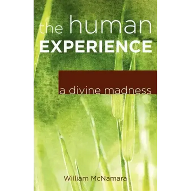 The Human Experience: A Divine Madness