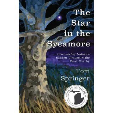 The Star in the Sycamore: Discovering Nature's Hidden Virtues in the Wild Nearby