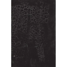 Black Square: Malevich and the Origin of Suprematism