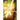 Truth in Focus