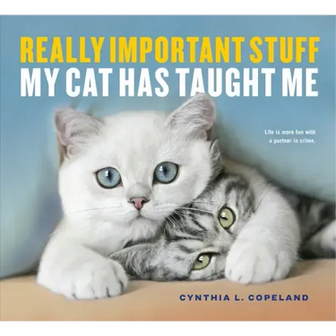 Really Important Stuff My Cat Has Taught Me