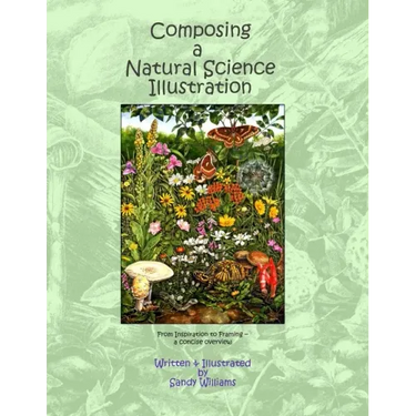 Composing a Natural Science Illustration: From Inspiration to Framing