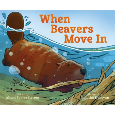 When Beavers Move in