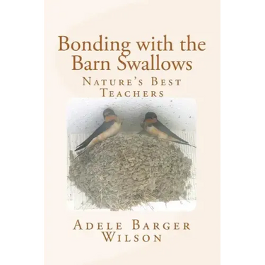 Bonding with the Barn Swallows: Nature's Best Teachers