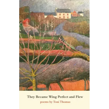 They Became Wing Perfect and Flew
