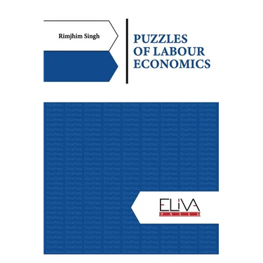 Puzzles of Labour Economics