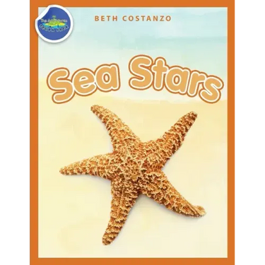 Sea Stars Activity Workbook ages 4-8