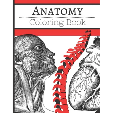 human anatomy coloring book: Anatomy Coloring book for Kids and adults Human Body Parts
