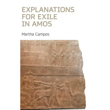 Explanations for Exile in Amos