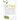 Detox Cleanse Your Body Quickly and Completely