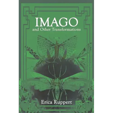 Imago and Other Transformations