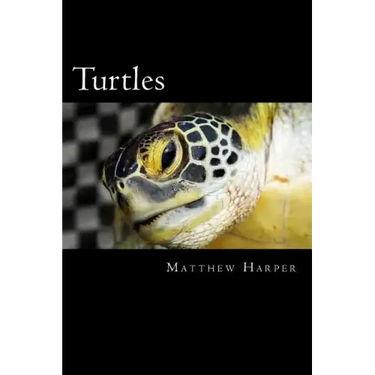 Turtles: A Fascinating Book Containing Turtle Facts, Trivia, Images & Memory Recall Quiz: Suitable for Adults & Children
