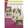 Cavachon