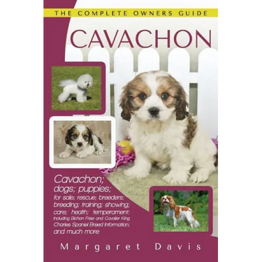 Cavachon